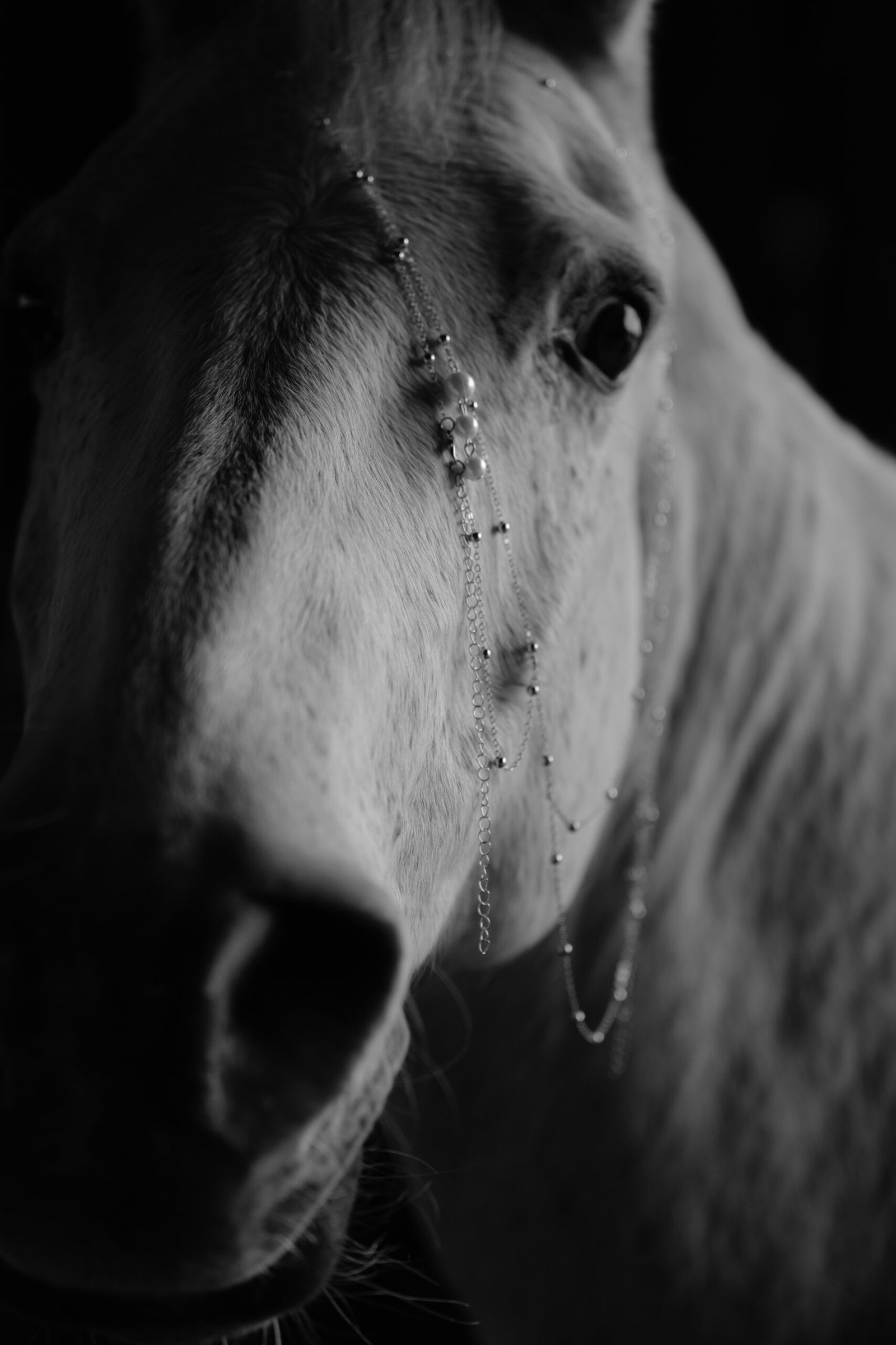 L1040587 copy-Recovered copy