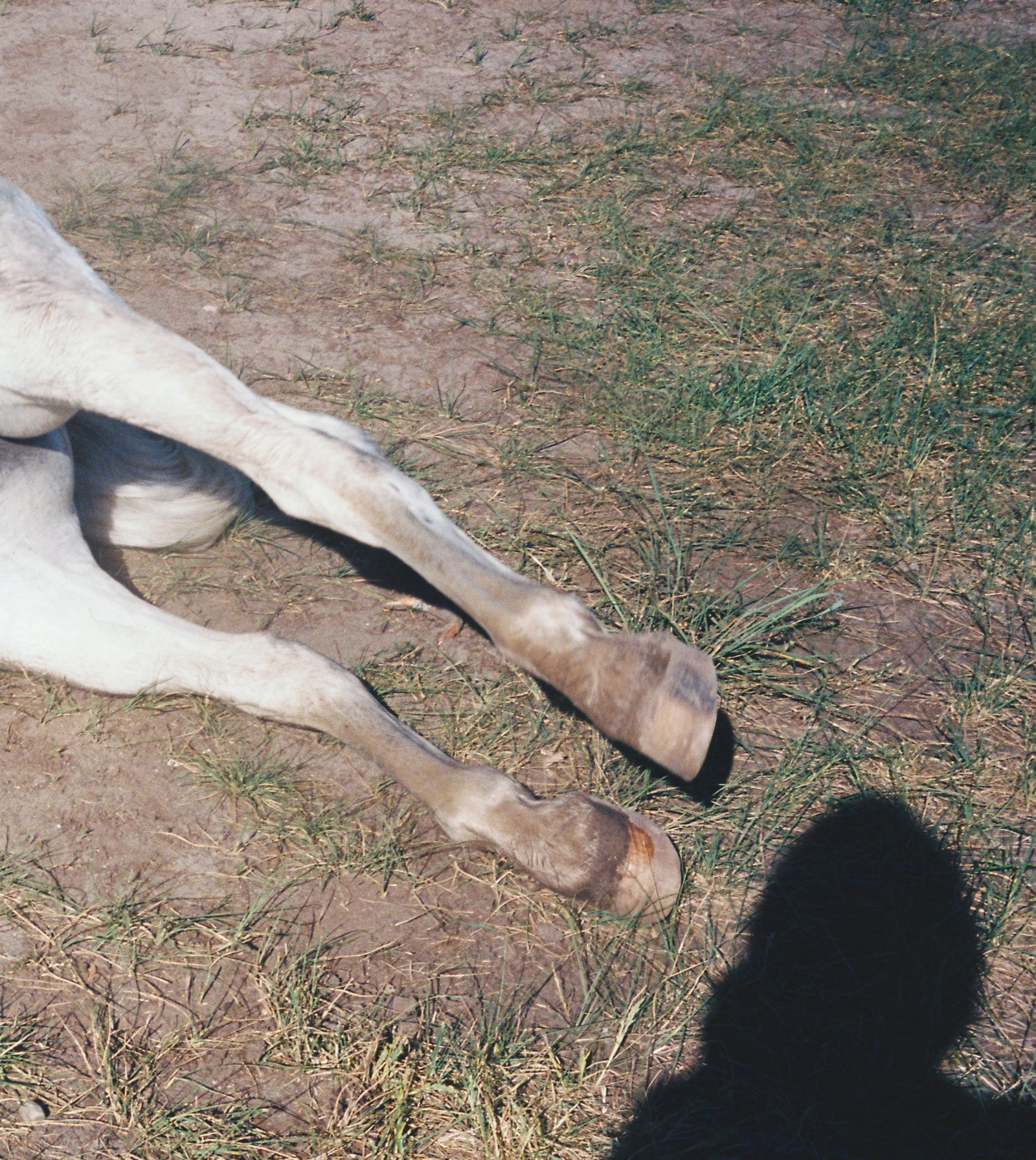 R1-06477-0023-Recovered