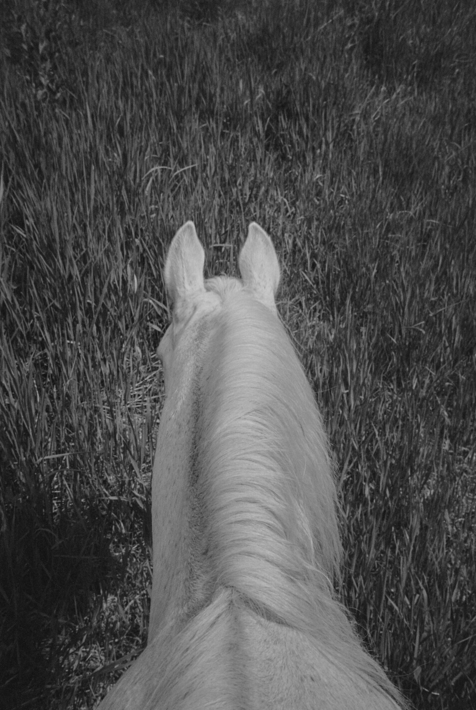 R1-07594-0001-Recovered