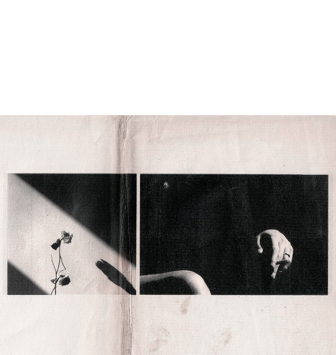 chiara_07-Recovered